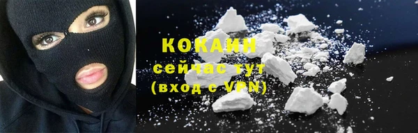 прущие грибы Нягань
