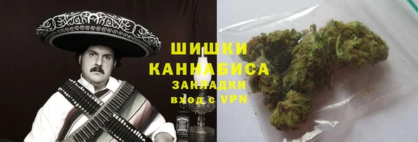 стаф Няндома