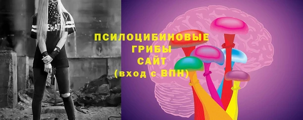 прущие грибы Нягань