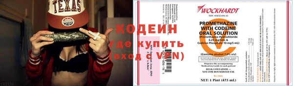 прущие грибы Нягань