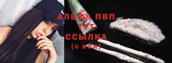 стаф Няндома