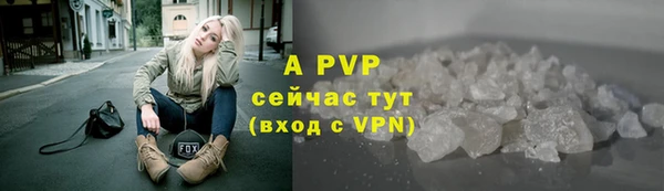 прущие грибы Нягань