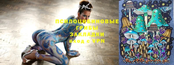 прущие грибы Нягань