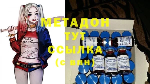 прущие грибы Нягань