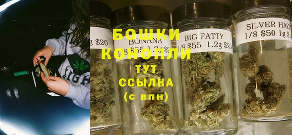 стаф Няндома