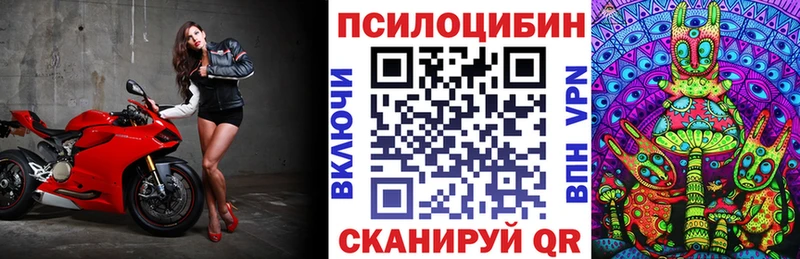Купить  Ессентукская  Псилоцибиновые грибы ЛСД 